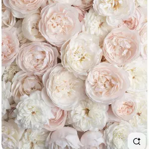 くまのプーさんデザイン エレキブラシ 限定 未開封 - メルカリ