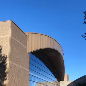 BIG PUNNKKUN