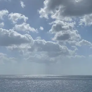 REVI ナチュラルパウダー 2回分（剥離あり） - メルカリ