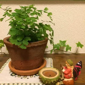 45R ふわふわ裏毛ブルゾン 現行 ジップアップ ダブルジップ - メルカリ