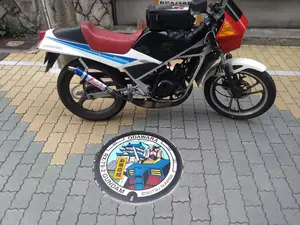 SUZUKI WOLF50 ガソリンタンク ファイアーパターン RG50 - メルカリ
