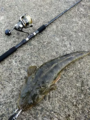 マグキャスト 3.5号 デュエル エギ 廃盤 マスター モンスター duel マグキャスト 廃盤 3.5号 モンスターマスター 未使用品