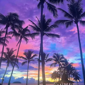 PSA10 lycee エルマリート・ド・ブランシュフォール　サイン　SP PSA10 lycee エルマリート・ド・ブランシュフォール SP PSA10