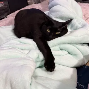 re-mi★プロフ必読