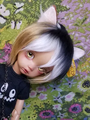 エヴァ 渚カヲル VORKS ボークス かすたまフィギュア　エヴァンゲリオン エヴァ 渚カヲル VORKS ボークス かすたまフィギュア