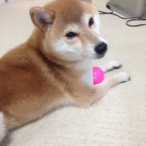 ★ゆう★プロフィール必読