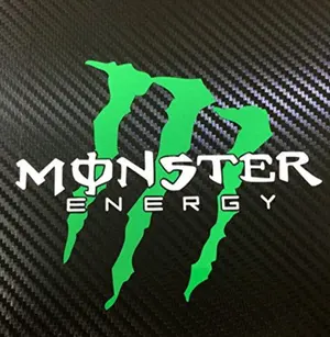 Mongoose BMX レーサージュニア シルバー 引取限定 20インチ - メルカリ