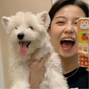 ロマネ・コンティ & ザ・マッカラン 30年 セット空瓶 - メルカリ