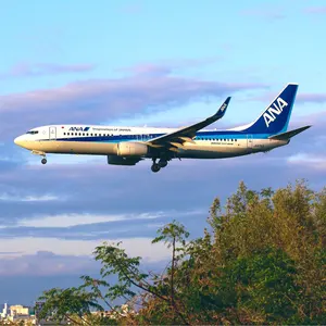 saki's様専用】ANA 767-300ER 1/200 JFOX - メルカリ