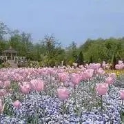 影山飛雄 アクリルブロッキー ハイキュー!!おみくじ おすわり版権