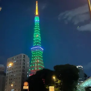 巨人・阿部慎之助監督使用 バッティンググローブ（右手のみ） - メルカリ