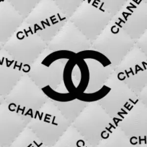 りゅうこちゃん