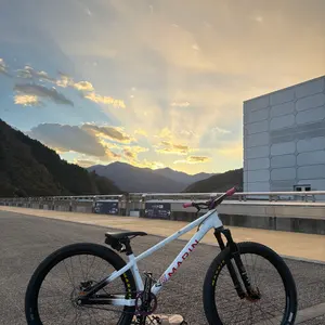 Marin Alcatraz 2023 Frame with Brakes and Seatpost - Ship from