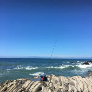 ダイワ Daiwa 大島 磯竿 1.5号 500cm - メルカリ