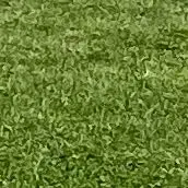 ドコモダケさん専用】TTTMSW × DAIRIKU - メルカリ