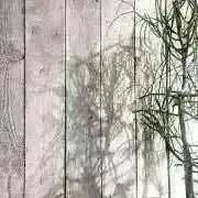 プロフィール御覧ください♩