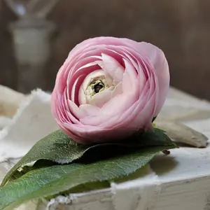 弄山萬古焼 黒田光楽窯 花器 花瓶 - メルカリ