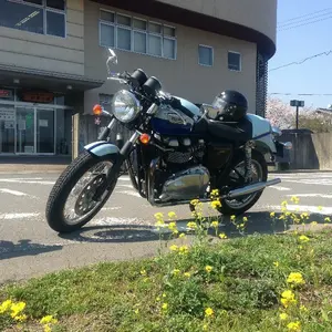 こめさんさん
