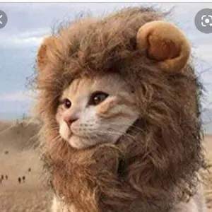 ③【キム ジュンミン】ボイプラ2 アーカイブ展 A4 PHOTO トレカ