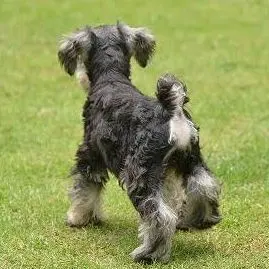 まるこ即購入OK(*´∀`)b