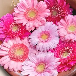 Chloé クロエ リーフチャームピアス ゴールド ラインストーン - メルカリ