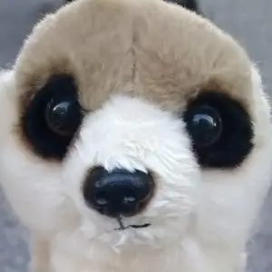 KING OF PRISM 仁 サンリオ カフェ ランチョンマット キンツア KING OF