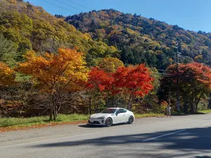 ロータスエラン他車検対応センターロック クローム八角形ホイール