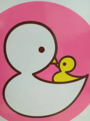ひよこ様専用ご確認ページ - メルカリ