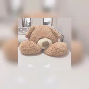 廃盤 テンマクデザイン サーカス トリポット ソロ 中古 - メルカリ