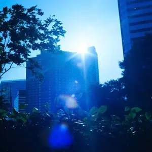 カネコアヤノ『単独演奏会「さいしん」2020.6.25 ザムザ阿佐ヶ谷』CD