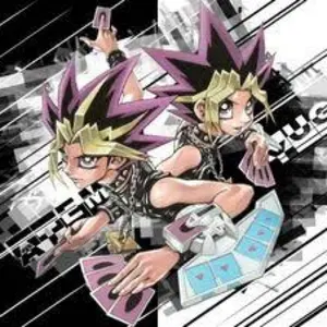 テ*ン様 遊戯王OCG 光と闇の儀式デッキ メイン40枚 エクストラ15枚