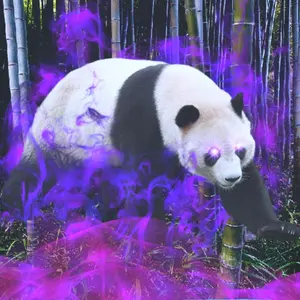 davrilsupply MECHANIK BELT 04 - メルカリ