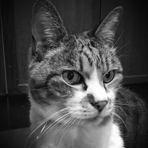 キリン 生茶 NAMACHA × YU NAGABA 食器セット - メルカリ