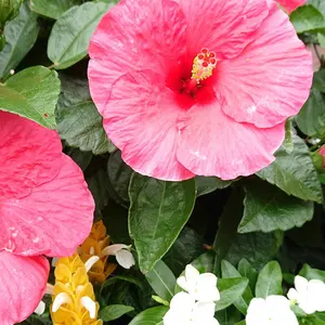 湯婆婆のアクセサリーコレクション 頭の3連チャーム メタルチャーム