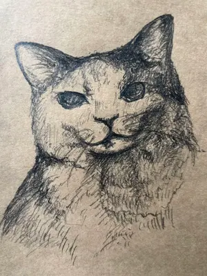 当選品】はましま薫夫 直筆サイン入りイラストボード ラバーストラップ 