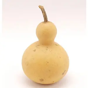 ito・交渉歓迎/即購入も歓迎★