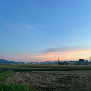 TWICE ミブリー ミナ パスポートケース - メルカリ