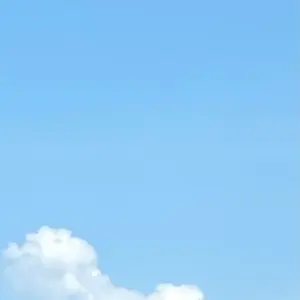 Sa_sss