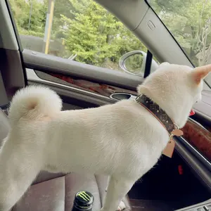 在庫整理中（プロフィール必読）