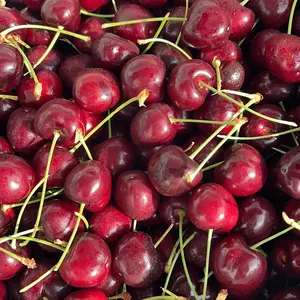高級チェリー食べ比べセット　レーニアチェリー　アメリカンチェリー　さくらんぼ 高級チェリー食べ比べセット レーニアチェリー アメリカンチェリー