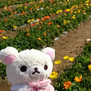 THE RAMPAGE 長谷川慎 デジタル抽選 B賞 トレカ 大暴年会 - メルカリ