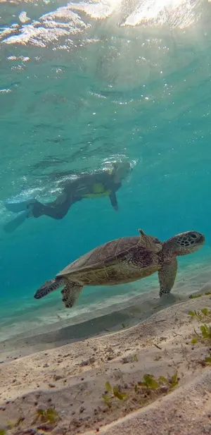 Shilva☆プロフ必読