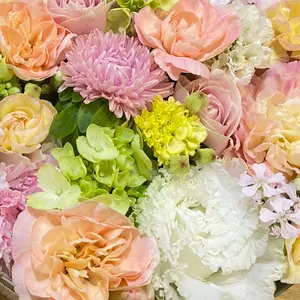 ジョブレイバーANA ワンワンマル 警察 3体まとめ売り - メルカリ