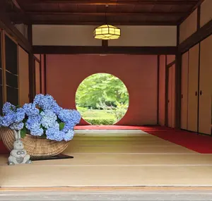 Ryomin⭐︎さま専用グラティエ、AVOLOGI ENEOTOTALE 美顔器 - メルカリ