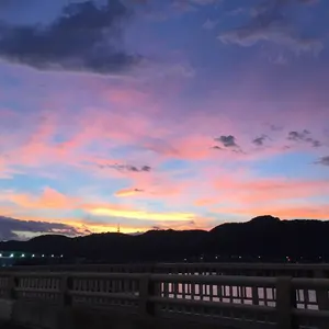 sacai 19aw リブニット - メルカリ