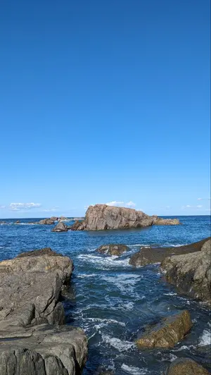 【セール・新品】 輪宝　木製　約12.4cm　4寸　金箔　宗派紋　定紋　法輪 促銷・新品】 輪寶木製約12.4cm 4寸金箔宗派紋定紋法輪‐ Mercari 日本