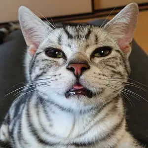 めざましくん時計 生野陽子アナウンサー - メルカリ