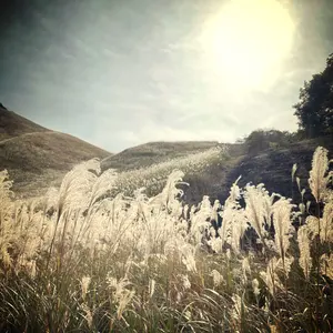 Ichinozi ※プロフ必読