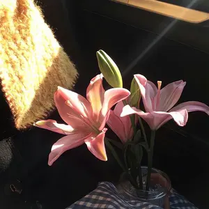 Kono【3/24まで販売！】