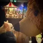 BTS THE BEST ブレスレット　新品未開封 A1DQnXvVXZS._UF350,350_QL50_.jpg